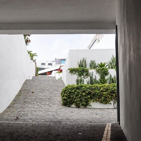 Sao Miguel Charming House By Lfc Apts Ponta Delgada Kültér fotó